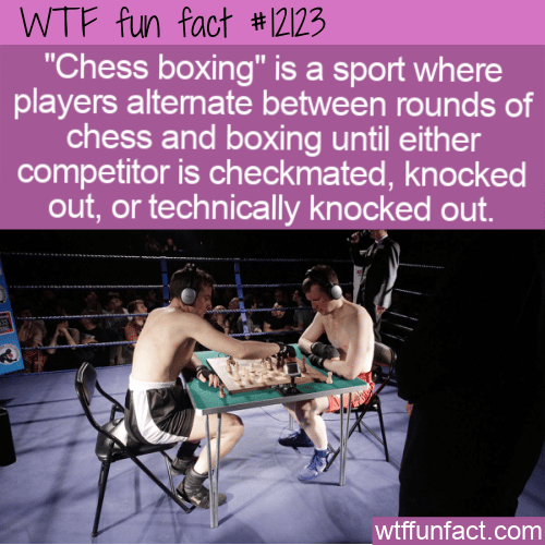 WTF Fun Fact - Chess Boxing